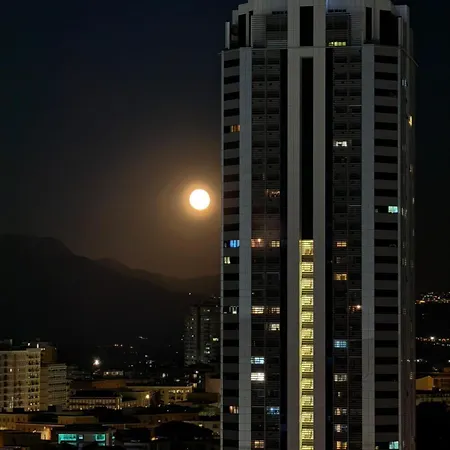 Cityview Lejlighed *